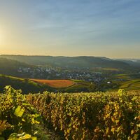 Weinpanorama Löwenstein | Aussicht über´s Weinsberger Tal | HeilbronnerLand