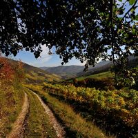 Wachau im Herbst