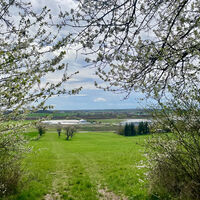 Aussicht auf Industriegebiet Thüringer Tor