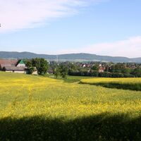 Blick Klosterbauerschaft