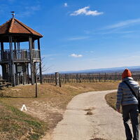 am Weg zur Aussichtswarte