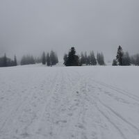 oberhalb der Bergrettungshütte