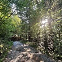 Weg Richtung Hittisberg