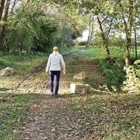 Abschnittsweise führt der Weg durch den Wald