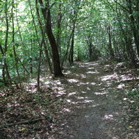 am Weg zur Redlinger Hütte