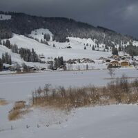 vor Staldenloch-Winterwanderung Seerundgang Schwarzsee