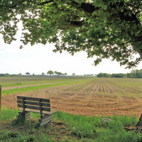 Bank mit Ausblick auf die Landschaft und Felder rund um Selsingen