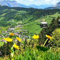 Wildschönau Markbachjochbahn