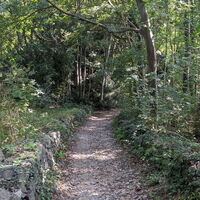 Weg