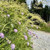 Jauerling-Runde 06: Raxendorf-Mühldorf