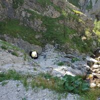 Wanderweg am Stoderzinken