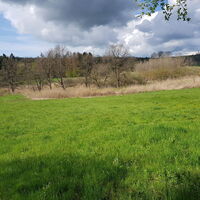 Heftricher Moor