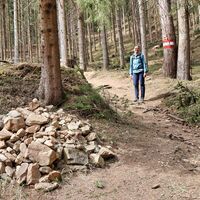 Steinmanderl am Weg