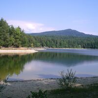 Forstsee