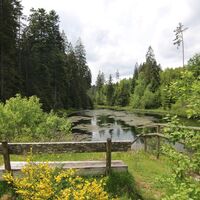 Kaltenbachsee