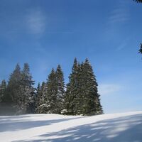 Wechsel-Panoramaloipe
