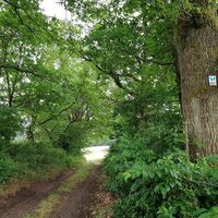 Von der Gengelsbergwiese kommend zum Taubental