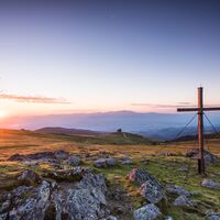 Zingerlekreuz