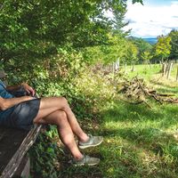 Qualitätstour Durch das Habichtstal (Po 2) - Wanderrast bei Polle