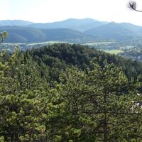 Blick nach Pernitz