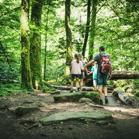 Unterwegs durch das Monbachtal