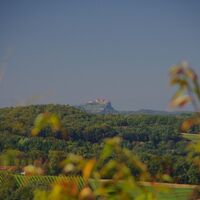 Der Blick reicht sogar bis zur Riegersburg.