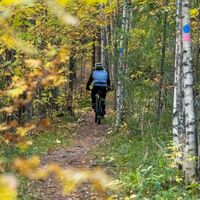 Koukkelonvaaran Kammweg