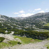 Rückblick
