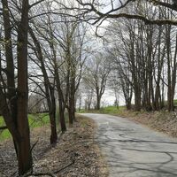 An der Saale zwischen Thüringen und Franken