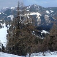 Aufstieg Kleiner Wildkamm