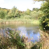 Kleinen See