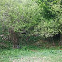 Start Gipfel-Wanderung