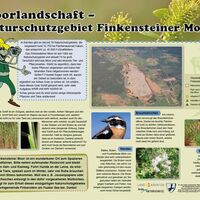 Infotafel Finkensteiner Moor