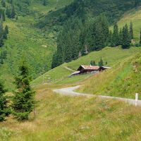 Almweg zur Katzsteinalm