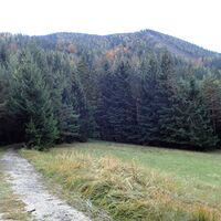 Aufstieg zum Diebssteig