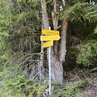 Hier Wegkreuz. Je nach Geschmack und Kondi ist alles dabei. Der Berichterstatter bevorzugt den gemächlichen Abstieg retour nach Mürzzuschlag.