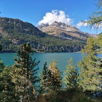 Silvaplanersee