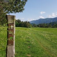 Radovljica - Weg an der Save