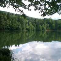 Trattnigteich