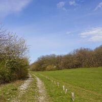 Weg in Richtung Schäfereiche