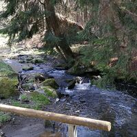 Zwischen Teichleite und Eichleite