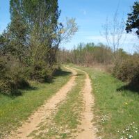Oenorando der Hänge von St-Christol0009 ©CDRP34