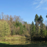 Holzweiher.