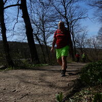 Hütteldorf - Lainzer Tiergarten - Liesing