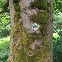 Die Markierung für den Wilderer-Pfad