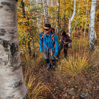 Der Birkenwald am Culmine di Campo im Herbst