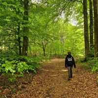 Auf dem Bestweg Velmede-Bestwig