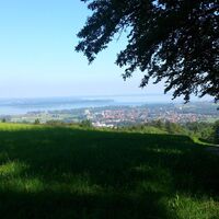 Wanderweg am Waldesrand nach Stoka