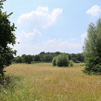 Niederrheinische Landschaft