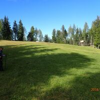 Abkürzung bei Wiese mit Hochstand